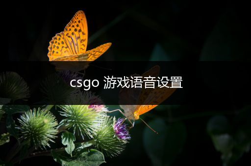 csgo 游戏语音设置