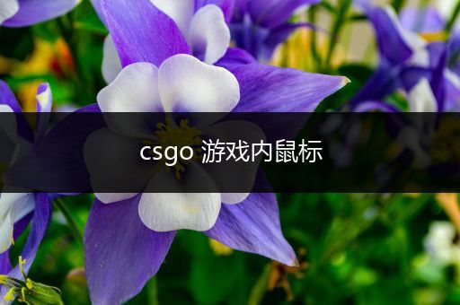 csgo 游戏内鼠标