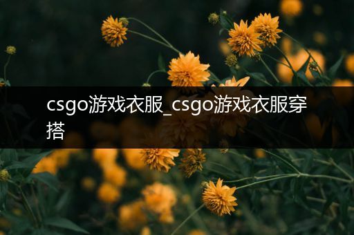 csgo游戏衣服_csgo游戏衣服穿搭