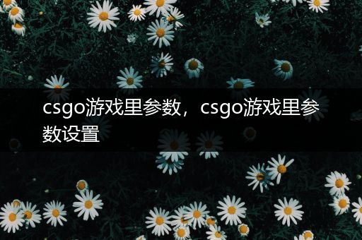 csgo游戏里参数，csgo游戏里参数设置