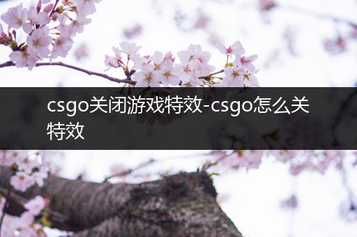 csgo关闭游戏特效-csgo怎么关特效