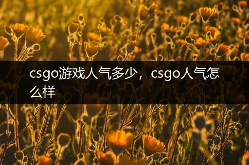 csgo游戏人气多少，csgo人气怎么样