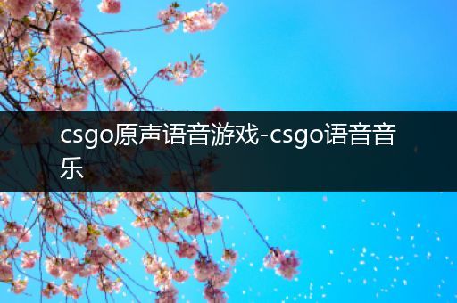 csgo原声语音游戏-csgo语音音乐