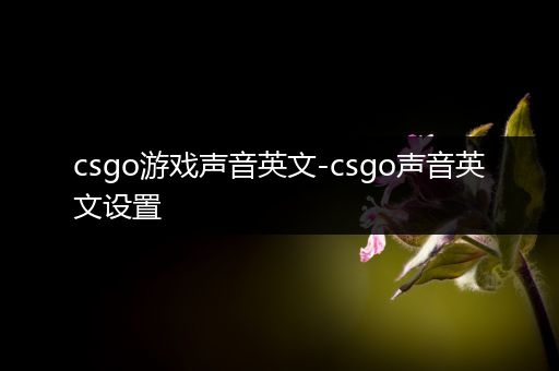 csgo游戏声音英文-csgo声音英文设置