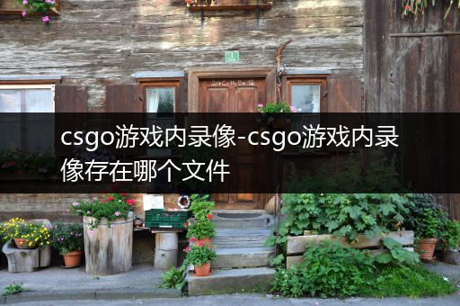 csgo游戏内录像-csgo游戏内录像存在哪个文件