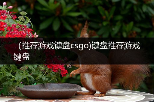 （推荐游戏键盘csgo)键盘推荐游戏键盘