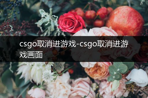 csgo取消进游戏-csgo取消进游戏画面