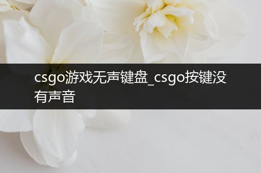 csgo游戏无声键盘_csgo按键没有声音