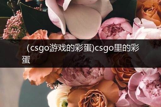 （csgo游戏的彩蛋)csgo里的彩蛋