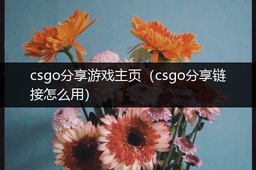 csgo分享游戏主页（csgo分享链接怎么用）