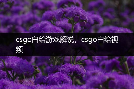 csgo白给游戏解说，csgo白给视频