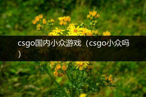 csgo国内小众游戏（csgo小众吗）