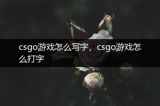 csgo游戏怎么写字，csgo游戏怎么打字