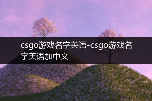 csgo游戏名字英语-csgo游戏名字英语加中文