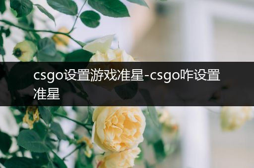 csgo设置游戏准星-csgo咋设置准星