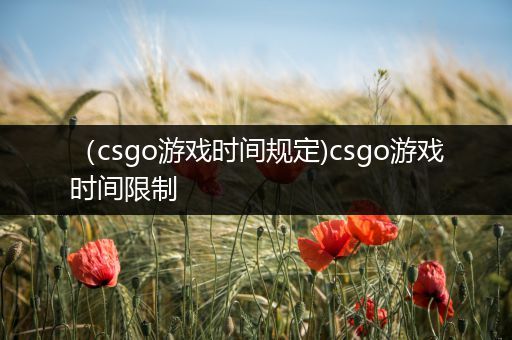 （csgo游戏时间规定)csgo游戏时间限制