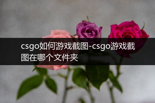 csgo如何游戏截图-csgo游戏截图在哪个文件夹