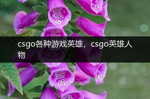 csgo各种游戏英雄，csgo英雄人物