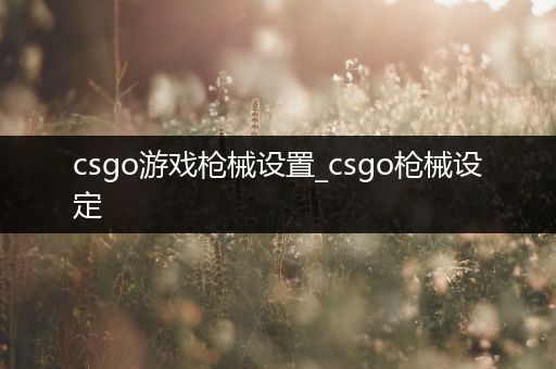 csgo游戏枪械设置_csgo枪械设定