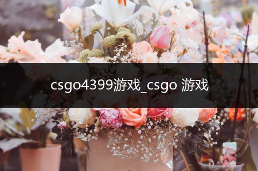 csgo4399游戏_csgo 游戏