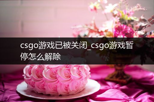 csgo游戏已被关闭_csgo游戏暂停怎么解除