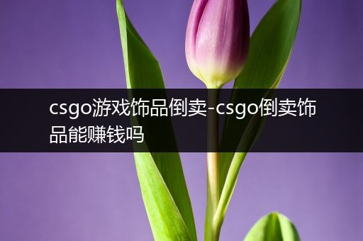 csgo游戏饰品倒卖-csgo倒卖饰品能赚钱吗