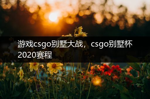 游戏csgo别墅大战，csgo别墅杯2020赛程