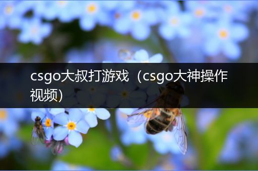 csgo大叔打游戏（csgo大神操作视频）