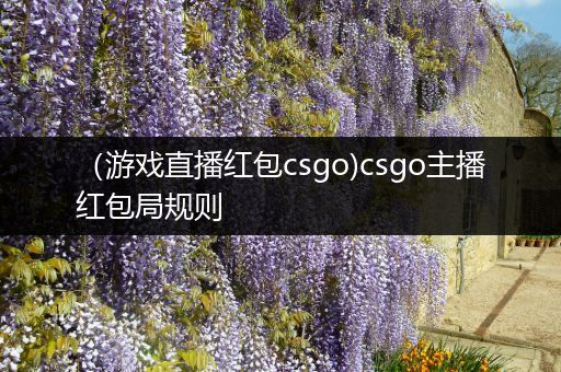 （游戏直播红包csgo)csgo主播红包局规则