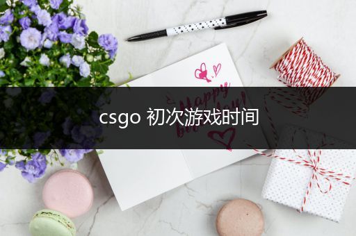 csgo 初次游戏时间