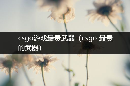 csgo游戏最贵武器（csgo 最贵的武器）