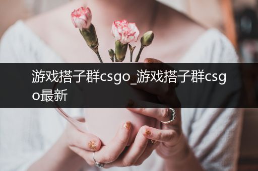 游戏搭子群csgo_游戏搭子群csgo最新