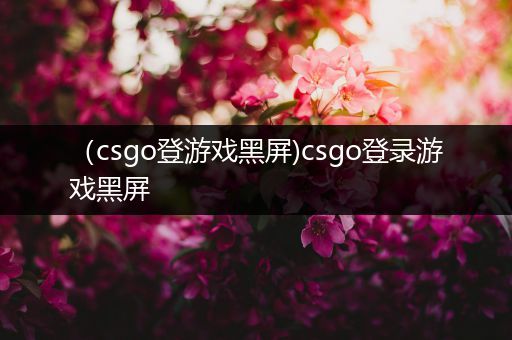 （csgo登游戏黑屏)csgo登录游戏黑屏