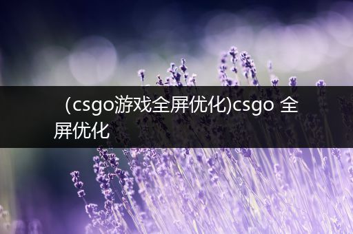 （csgo游戏全屏优化)csgo 全屏优化