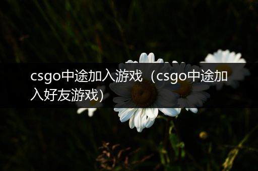 csgo中途加入游戏（csgo中途加入好友游戏）