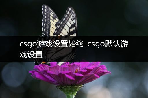 csgo游戏设置始终_csgo默认游戏设置