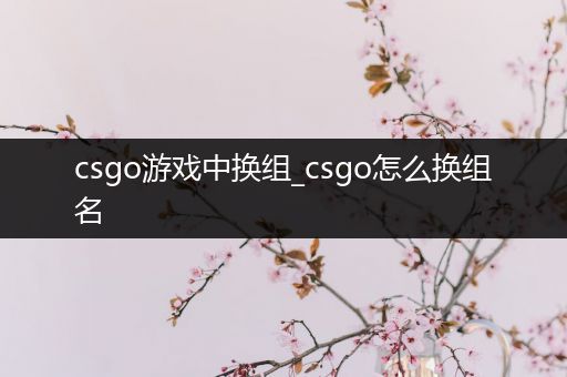 csgo游戏中换组_csgo怎么换组名