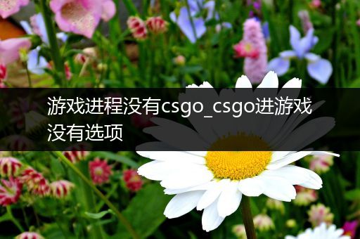 游戏进程没有csgo_csgo进游戏没有选项