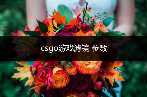 csgo游戏滤镜 参数