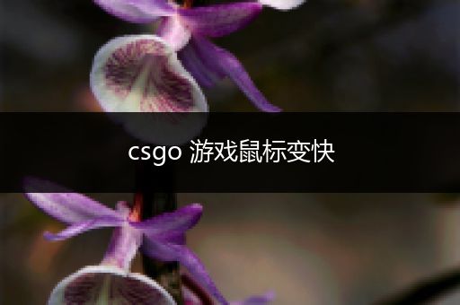 csgo 游戏鼠标变快