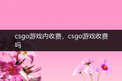 csgo游戏内收费，csgo游戏收费吗