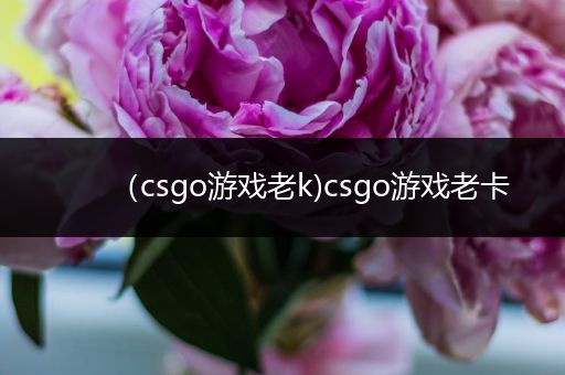 （csgo游戏老k)csgo游戏老卡