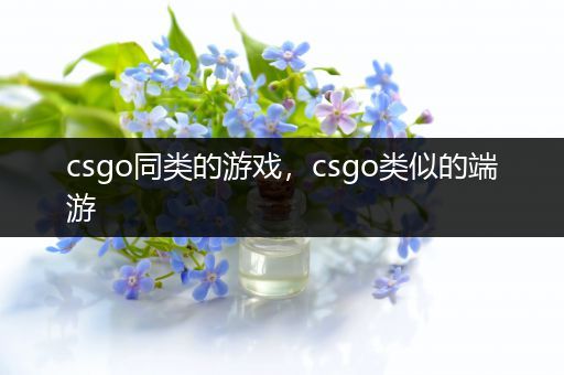 csgo同类的游戏，csgo类似的端游