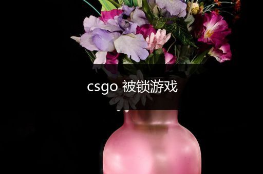 csgo 被锁游戏