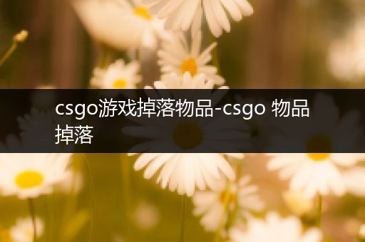 csgo游戏掉落物品-csgo 物品掉落