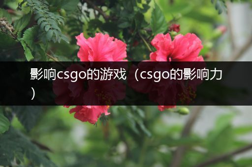 影响csgo的游戏（csgo的影响力）