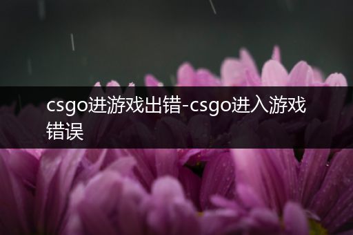 csgo进游戏出错-csgo进入游戏错误