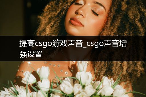 提高csgo游戏声音_csgo声音增强设置