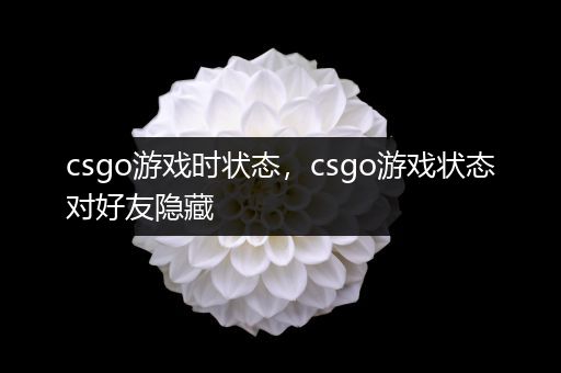 csgo游戏时状态，csgo游戏状态对好友隐藏