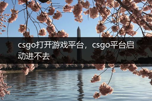 csgo打开游戏平台，csgo平台启动进不去